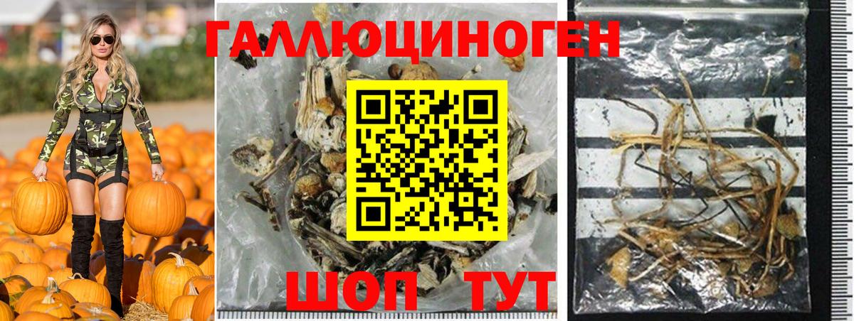 Галлюциногенные грибы Cubensis  Вход с VPN  Галлюциногенные грибы MAGIC MUSHROOMS  Карачаевск 