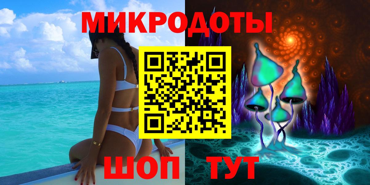 Галлюциногенные грибы Psilocybine cubensis Карачаевск